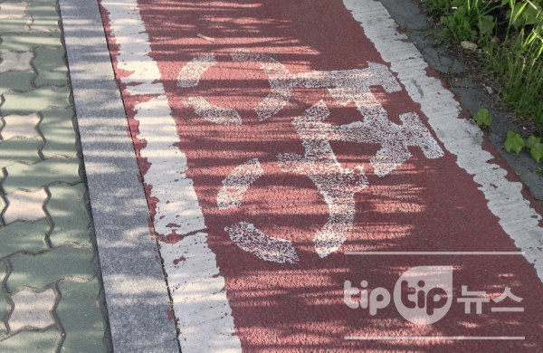전동킥보드는 원동기장치자전거로 분류되어 자전거도로를 이용하면 안 된다.(사진=팁팁뉴스)