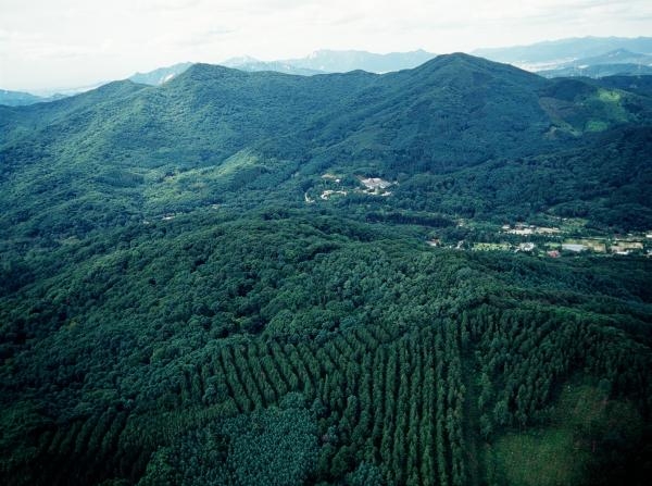 ▲ 2028년까지 산림면적의 28% 국유화로 ‘숲속의 대한민국’ 만든다