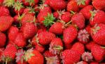 면역력을 높여주는 딸기 효능