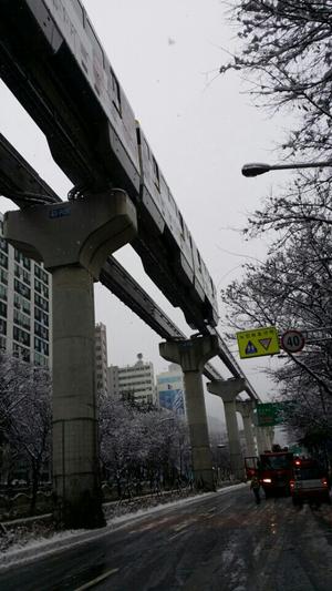 기습 폭설로 운행 중단된 대구도시철도 3호선 '정상운행'