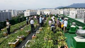 서울시, 동네·아파트·학교 등 205개소에 도시농업 텃밭 조성한다