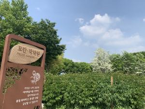 서울대공원 테마가든 ‘모란과 작약’ 활짝