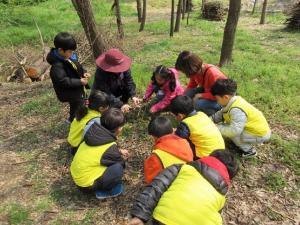 서울시, 7월 한 달간 한강공원 내 11개 장소에서 77개 생태프로그램 운영